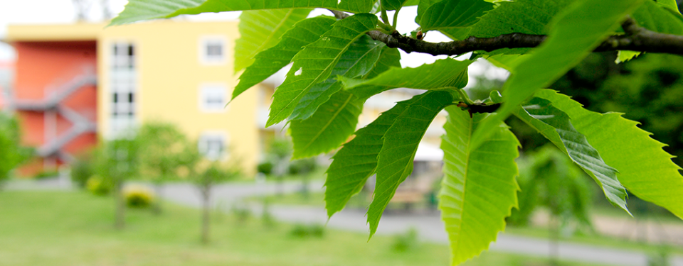 Banner 0